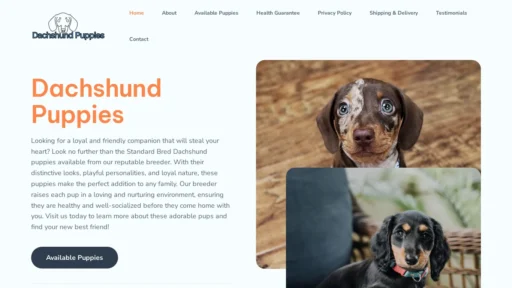 A screenshot of Deluxedachshundpuppies.com