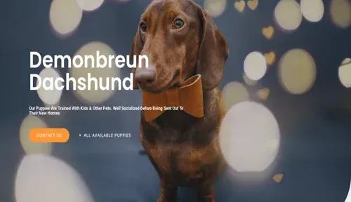 A screenshot of Genlanfamilystbernard.com