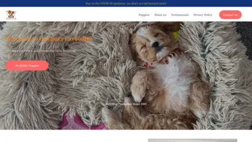 A screenshot of Designercavoodlepuppies.com