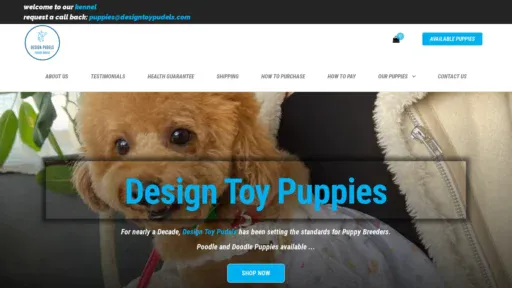 A screenshot of Designtoypudels.com