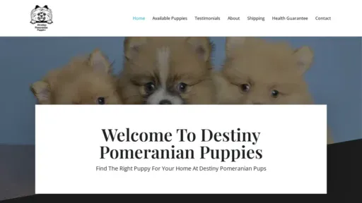 A screenshot of Destinypomeranianpuppies.com