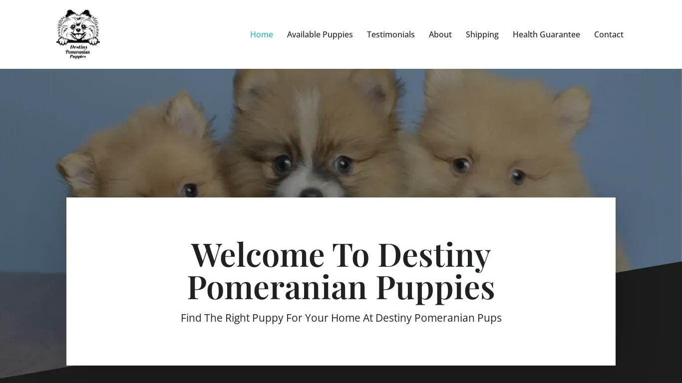 is destinypomeranianpuppies.com legit? screenshot