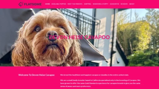 A screenshot of Devonheisecavapoo.com