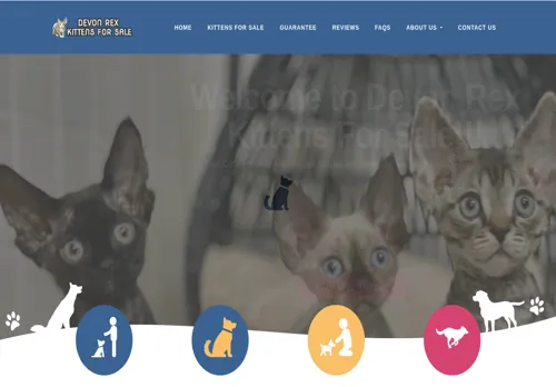 is devonrexkittenforsale.com legit? screenshot