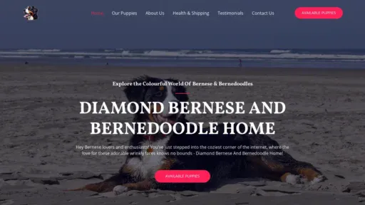 A screenshot of Diamondbernehome.com