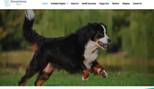A screenshot of Genlanfamilystbernard.com