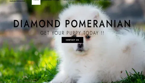 A screenshot of Genlanfamilystbernard.com