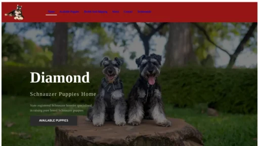 A screenshot of Diamondschnauzerpuppies.com