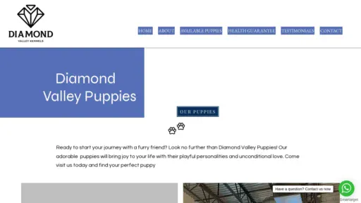 A screenshot of Diamondvalleypuppies.net
