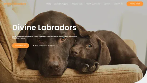 A screenshot of Divinelabradors.com