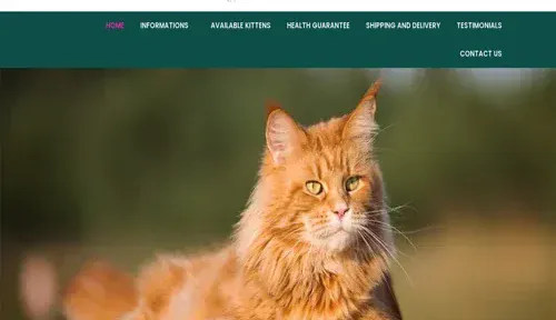 A screenshot of Genlanfamilystbernard.com