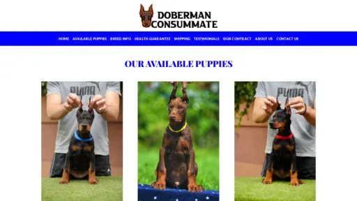 A screenshot of Dobermanconsummate.com