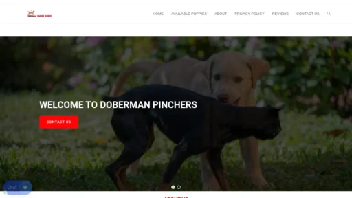 A screenshot of Dobermanpincherpuppies.com