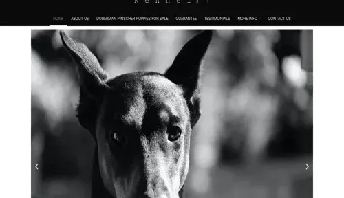 A screenshot of Genlanfamilystbernard.com