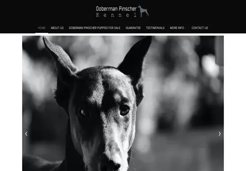 is dobermanpinscherkennel.com legit? screenshot