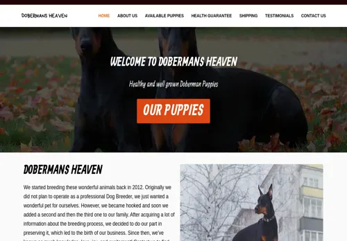 is dobermansheaven.com legit? screenshot