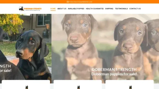 A screenshot of Dobermanstrength.com