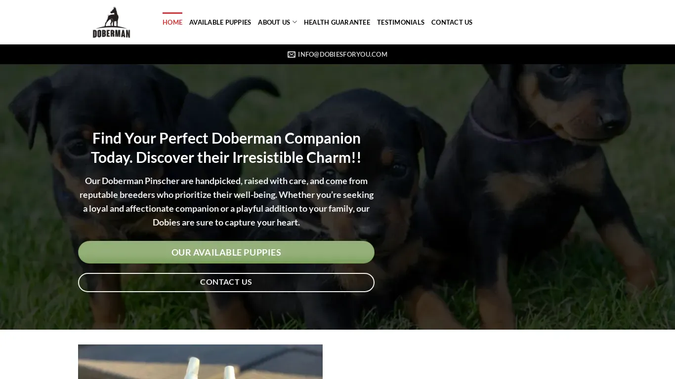 is dobiesforyou.com legit? screenshot
