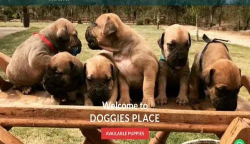 A screenshot of Genlanfamilystbernard.com