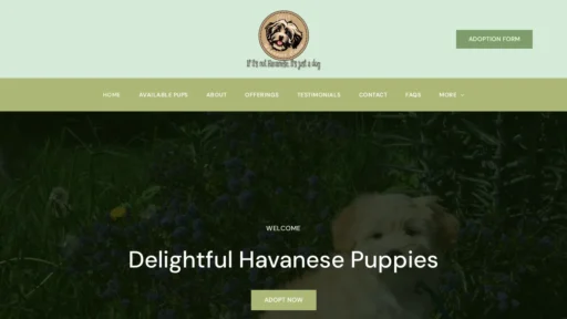 A screenshot of Dollyhavanesecuties.com