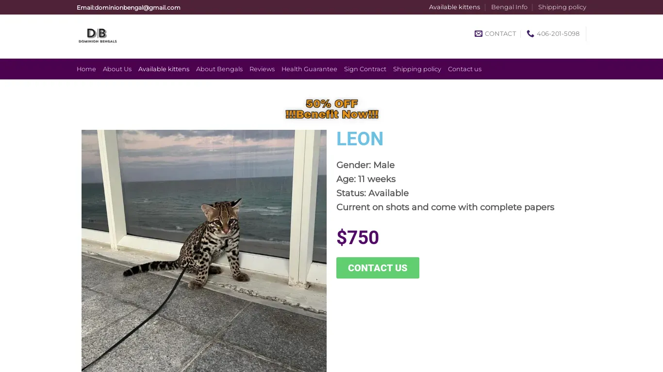 is Dominion bengals – purebred Bengal kittens for sale online|bengal kittens for sale online legit? screenshot