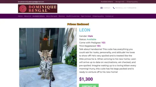 A screenshot of Dominiquebengal.com