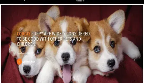A screenshot of Genlanfamilystbernard.com