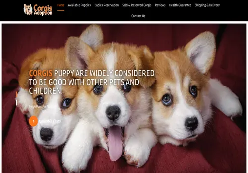 is donnacolorfulcorgis.com legit? screenshot