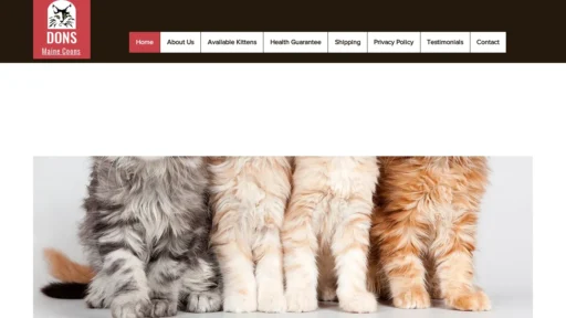 A screenshot of Donsmaincoonkittens.com