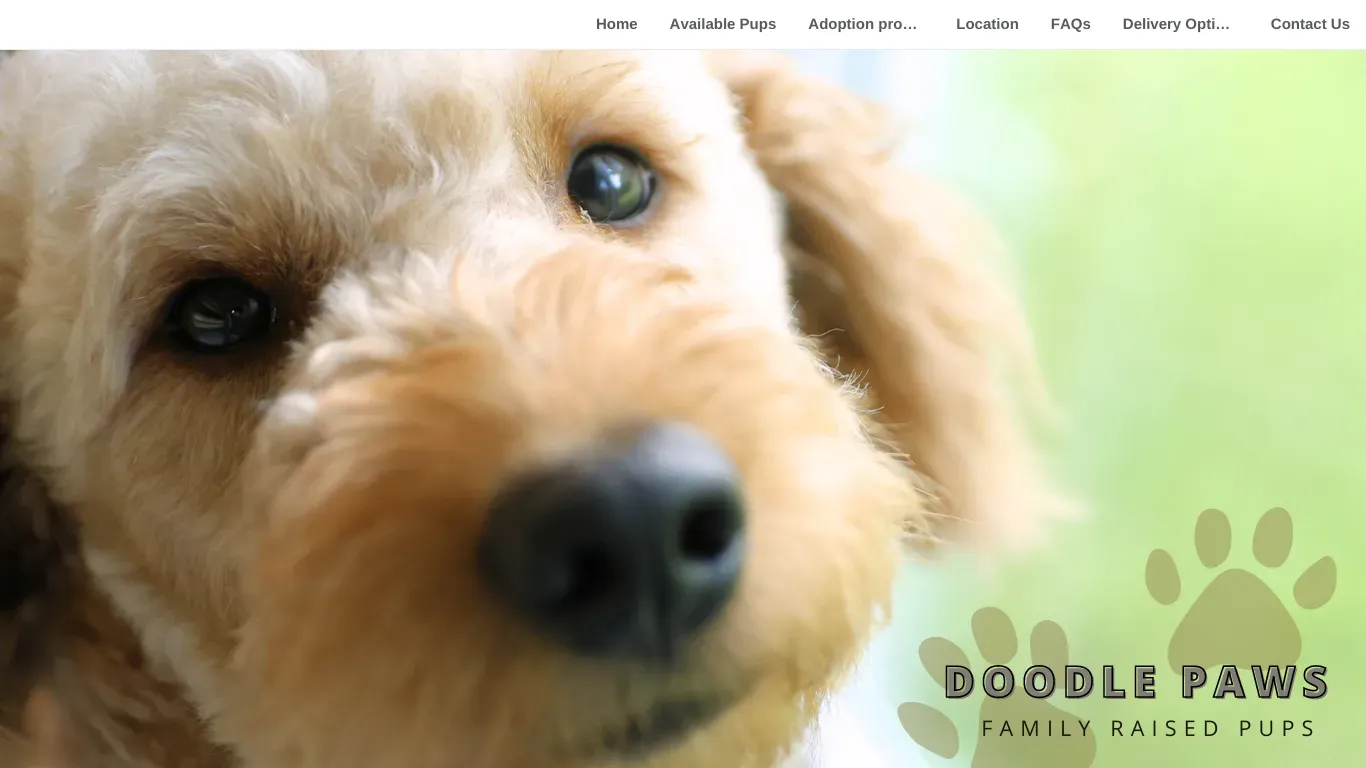 is doodlepawspups.com legit? screenshot