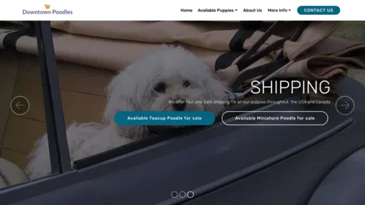 A screenshot of Downtownpoodles.com