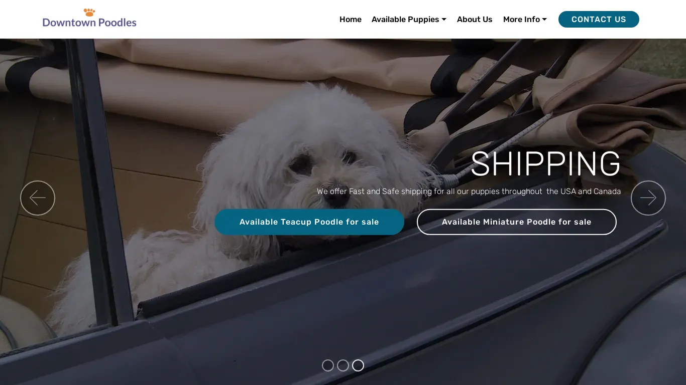 is downtownpoodles.com legit? screenshot