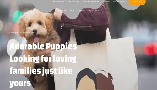 A screenshot of Genlanfamilystbernard.com