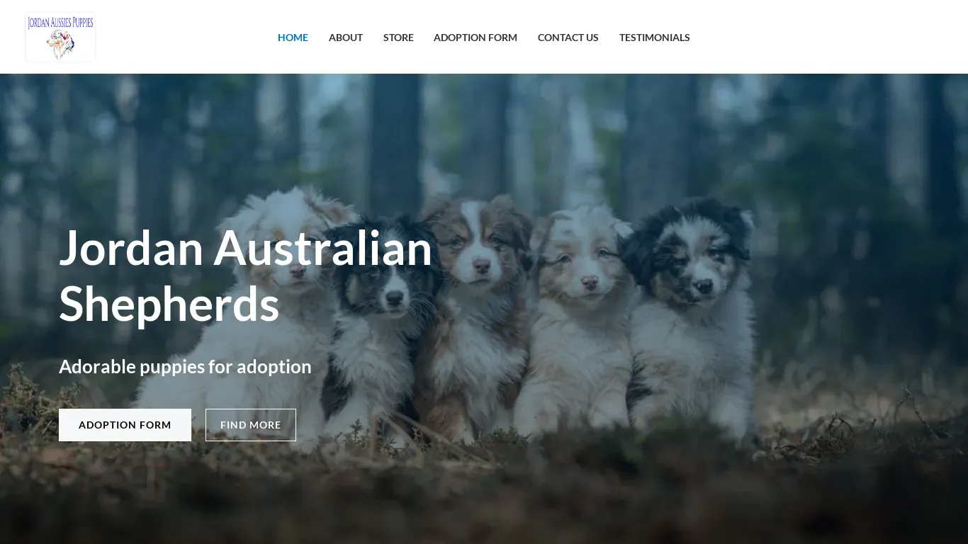 is Aussie shepherds – australian shepherd puppies for adoption legit? screenshot