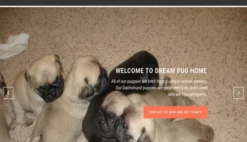 A screenshot of Genlanfamilystbernard.com