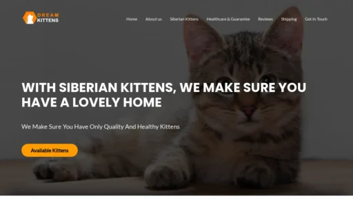 A screenshot of Dreamkittens4sale.com