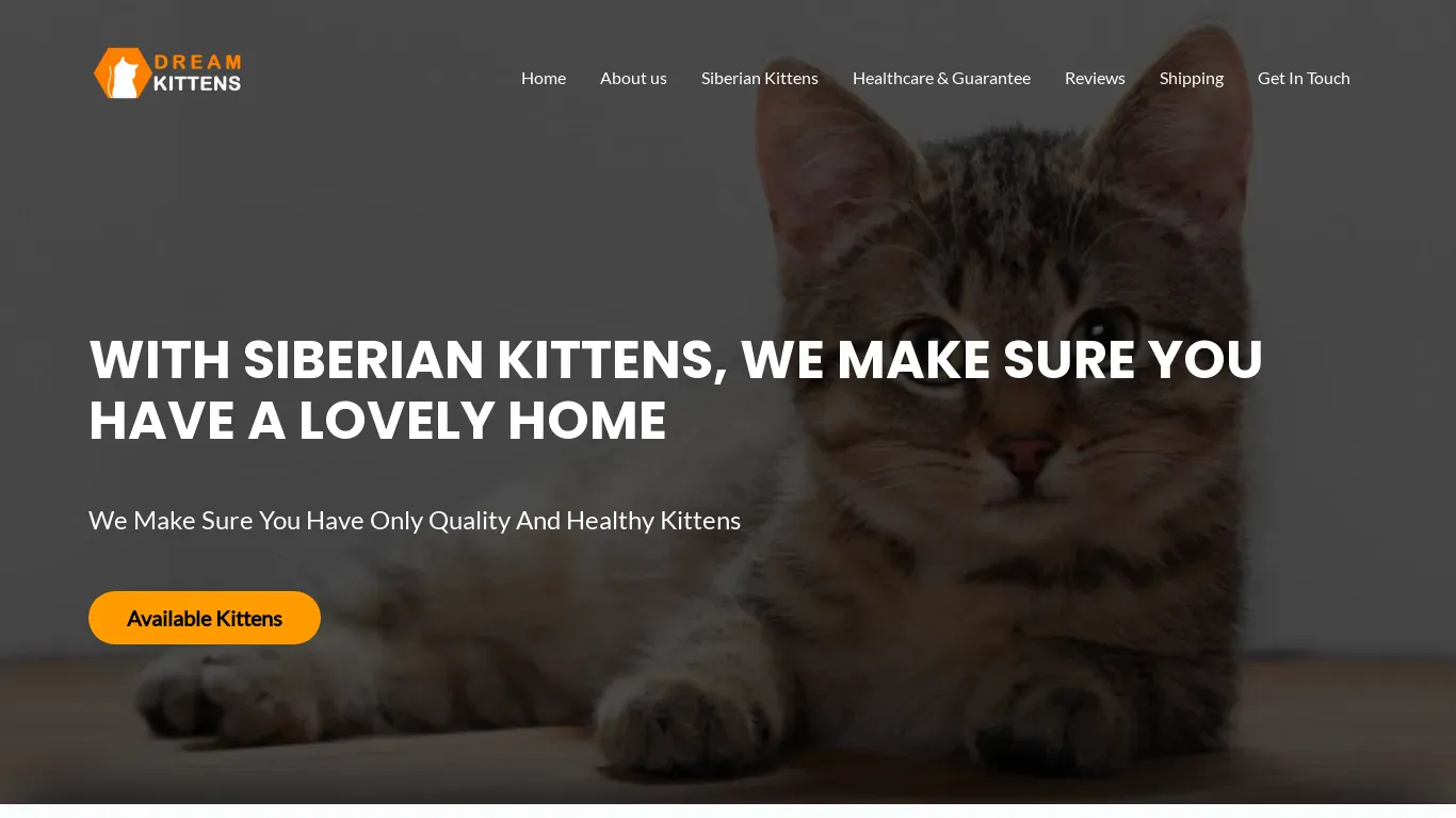 is dreamkittens4sale.com legit? screenshot