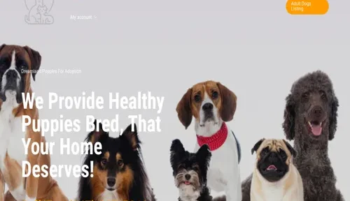 A screenshot of Genlanfamilystbernard.com