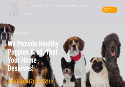 is dreamlandpuppiesk.com legit? screenshot
