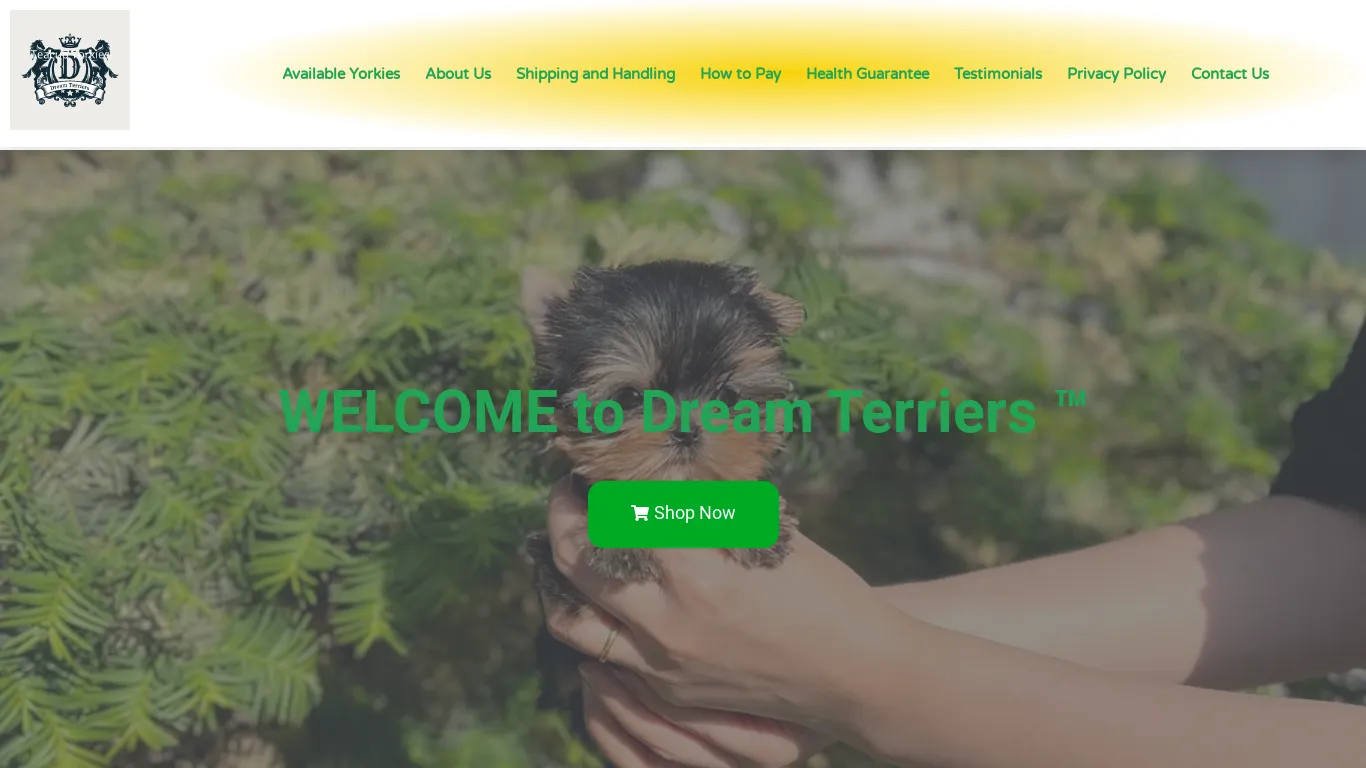 is Dream Yorkie Puppies – Teacup Yorkie Puppies for sale legit? screenshot
