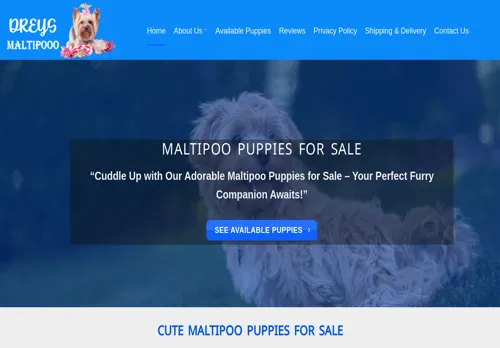 is dreysmaltipoopuppieshome.com legit? screenshot