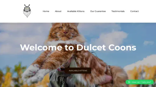 A screenshot of Dulcetcoons.com