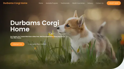 A screenshot of Durbamscorgihome.com