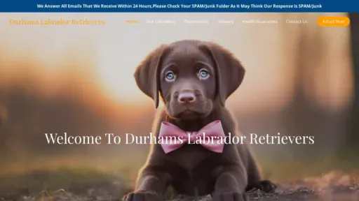 A screenshot of Durhamslabradorretrievers.com