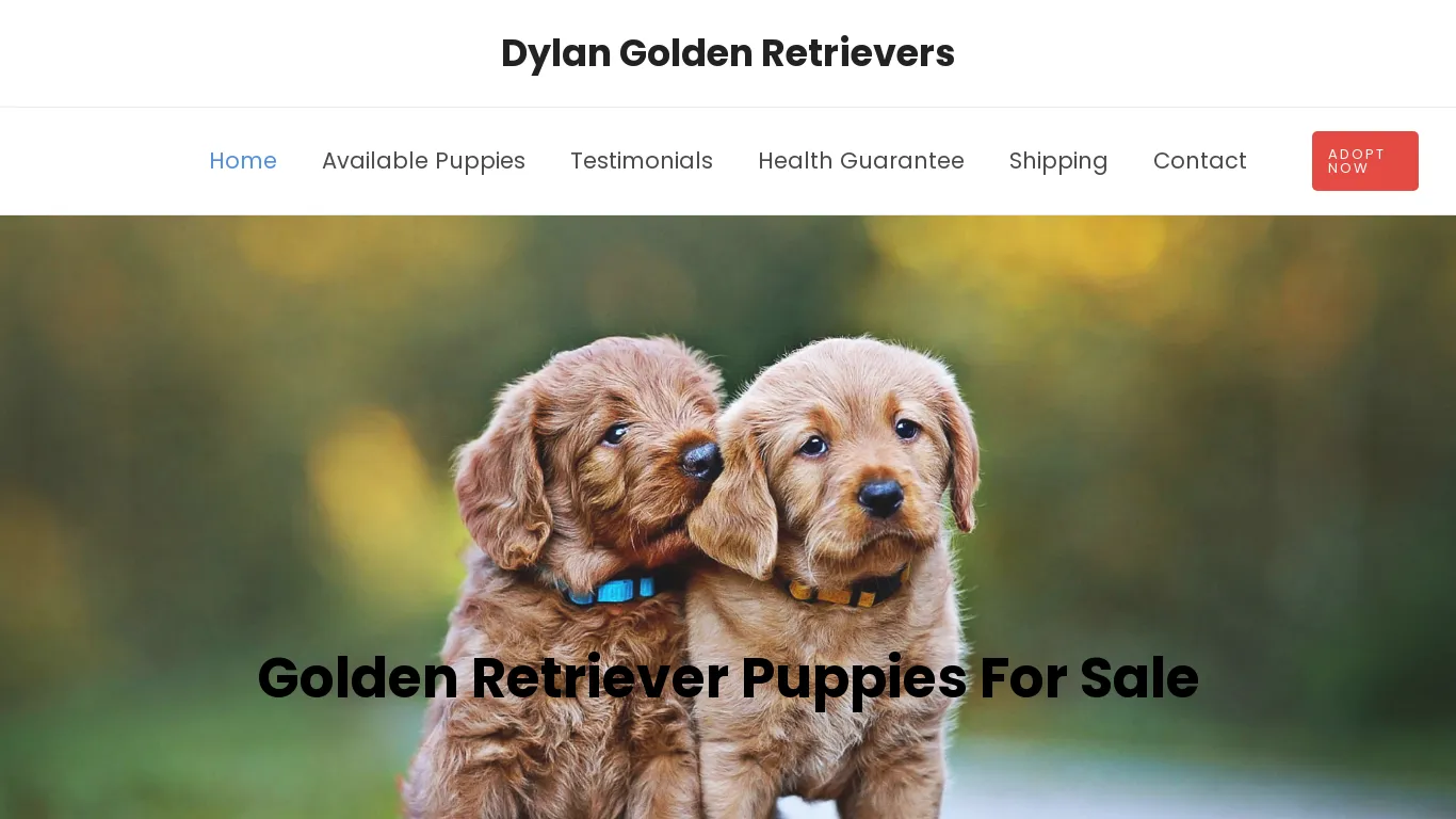 is dylangoldenretrievers.com legit? screenshot