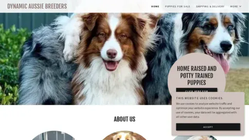 A screenshot of Dynamicaussiebreeders.com