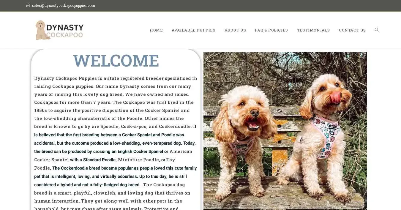 is dynastycockapoopuppies.com legit? screenshot