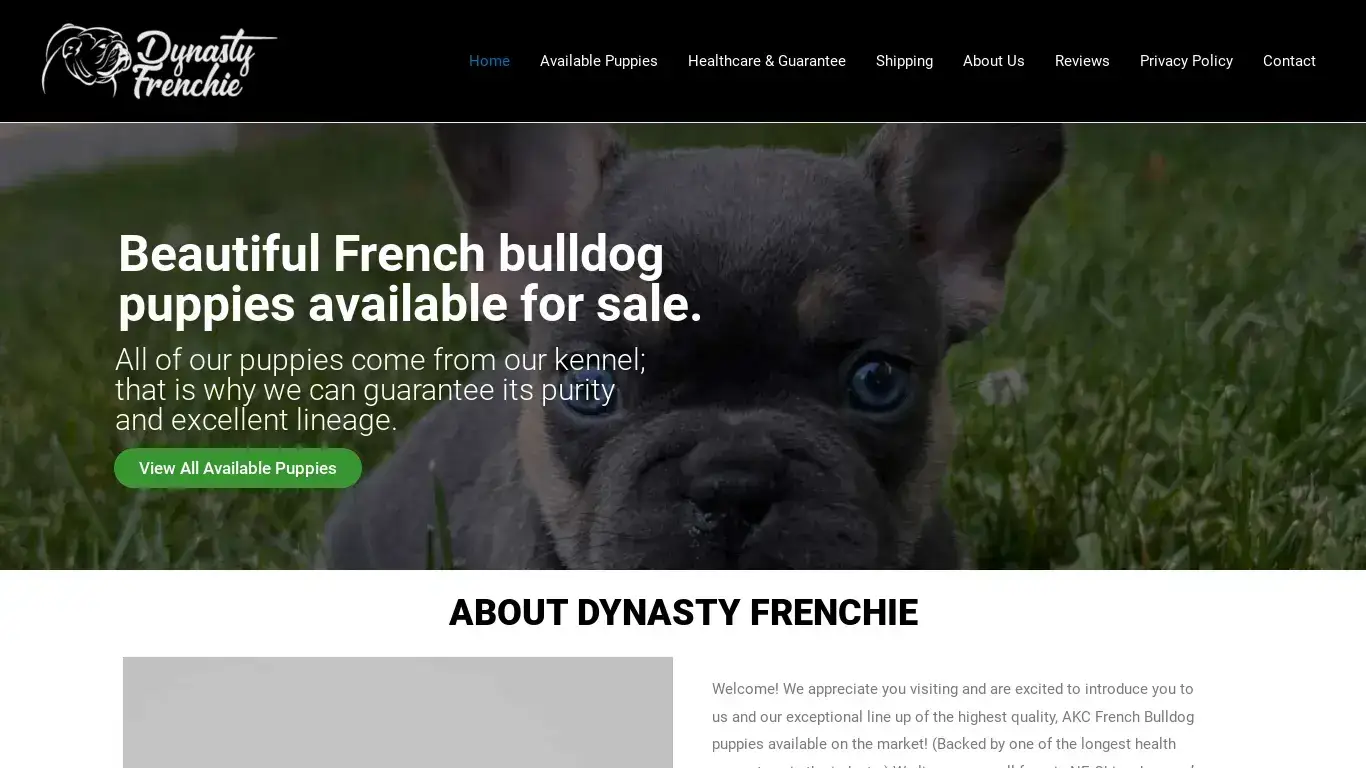 is Dynasty Frenchie – French Bulldogs legit? screenshot