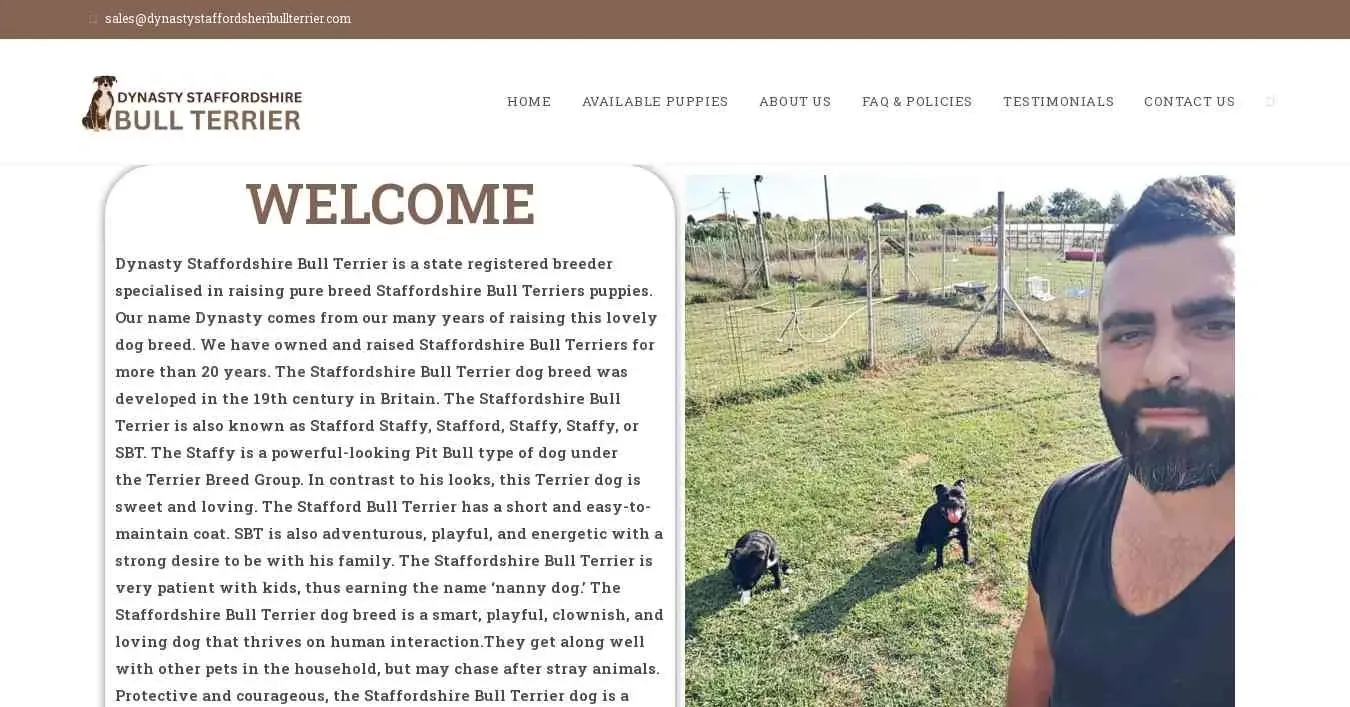 is dynastystaffordsheribullterrier.com legit? screenshot