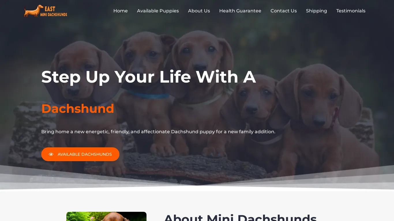 is eastminidachshunds.com legit? screenshot